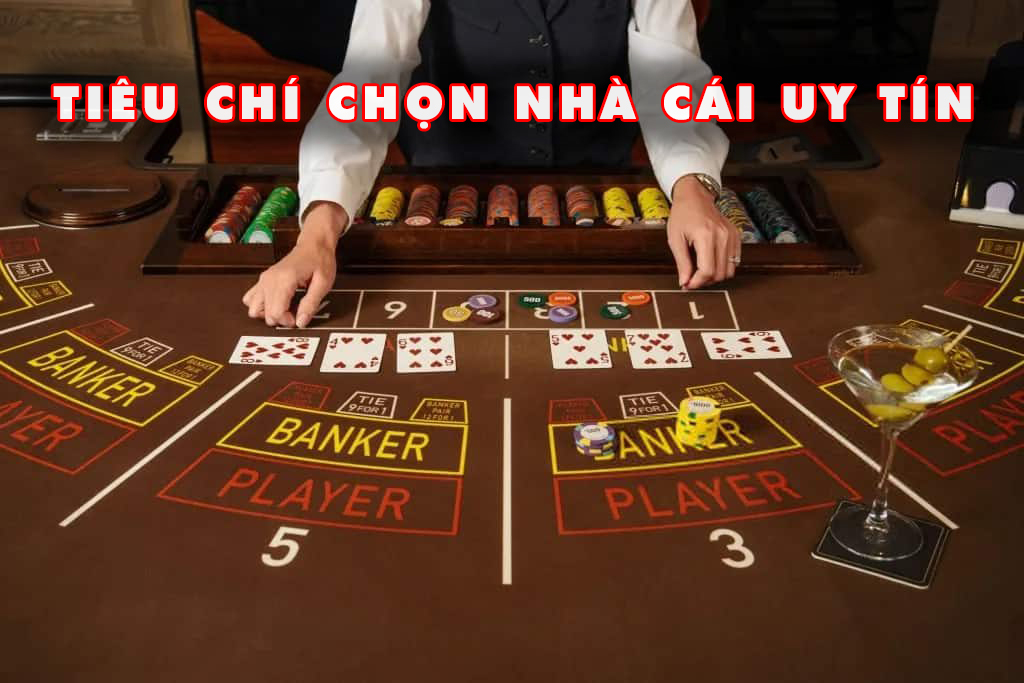 7ball-Khám phá thế giới casino trực tuyến cùng chúng tôi!